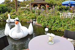 DAYLIGHT, DARK NIGHT AND BLUE SKIES WITH PAPA BUENO